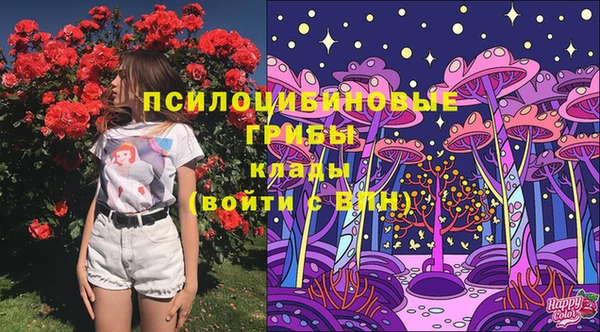 MDMA Дмитров