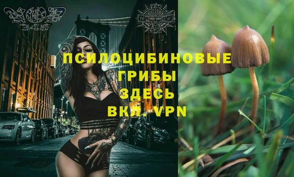 ALPHA PVP Дмитровск