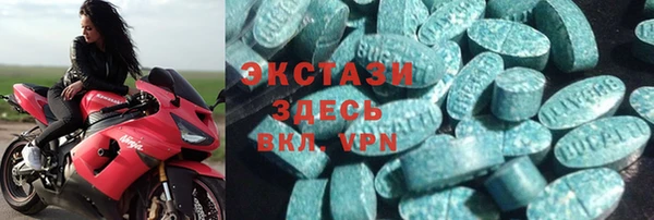 ПСИЛОЦИБИНОВЫЕ ГРИБЫ Гусев